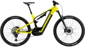 E-mtb