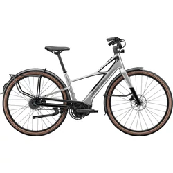 CANNONDALE FlyingV 1