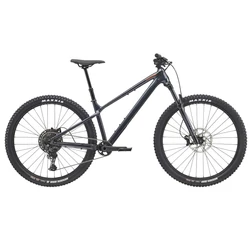 CANNONDALE Habit HT 1
