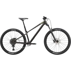 CANNONDALE Habit HT 2