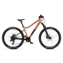 terra coppa