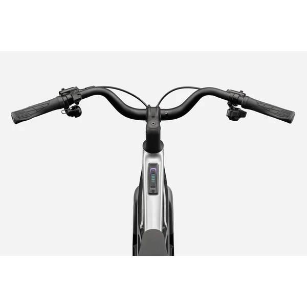 CANNONDALE FlyingV 1