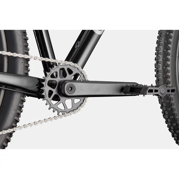 CANNONDALE Trail 2